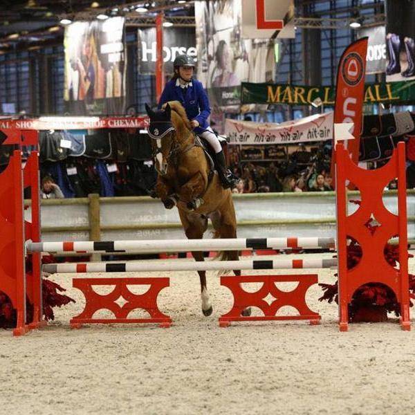 pension chevaux La Rochelle
